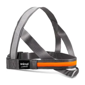 Animal Instincts Flashing USB Full Shine Nylon Harness Grey & Orange