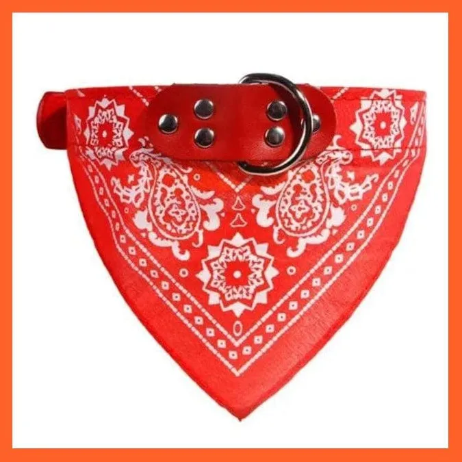 Cute Adjustable Collars | Comfy Cute Collars For Dogs And Cats