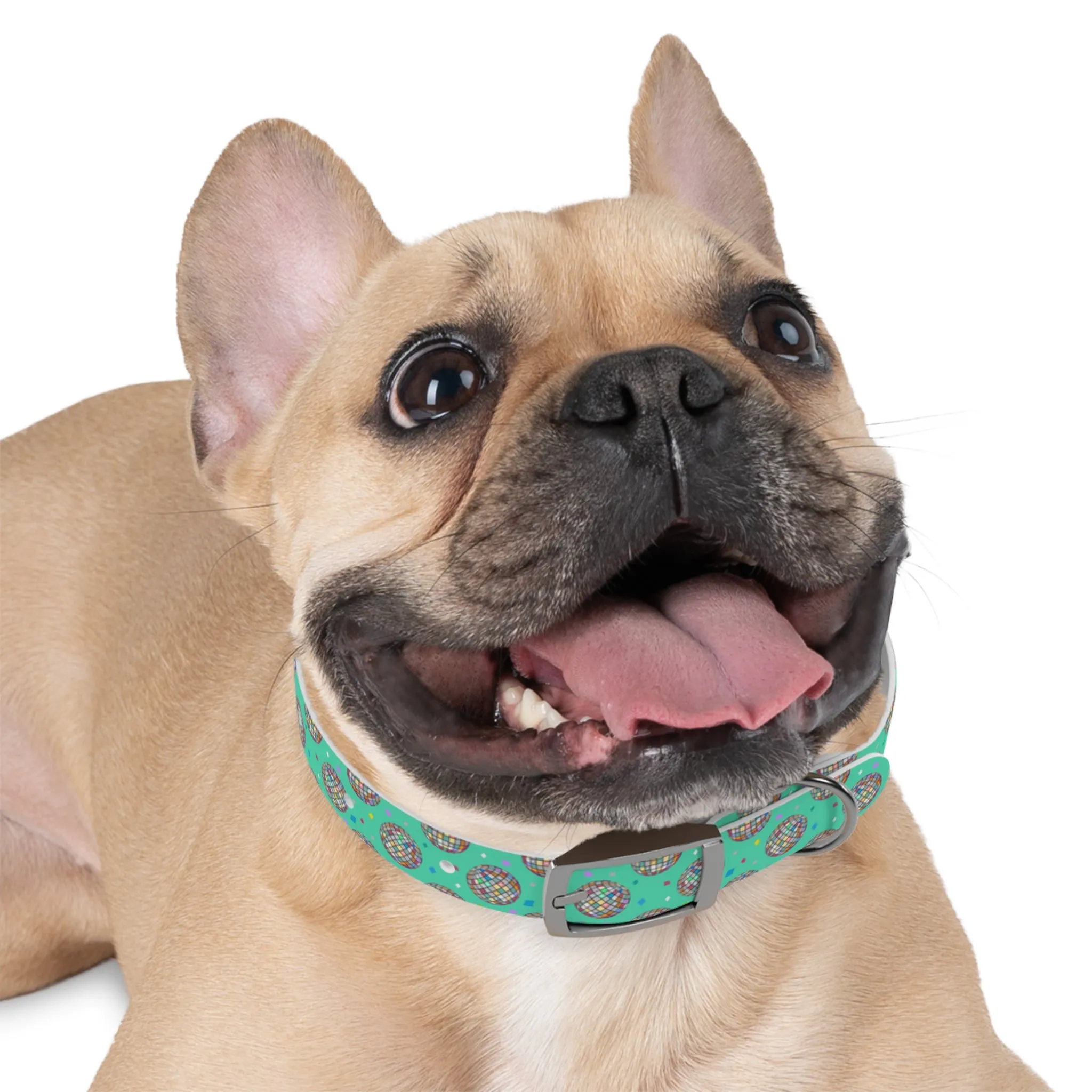 Disco Ball Turquoise Personalized Dog Collar -Choose Buckle Finish