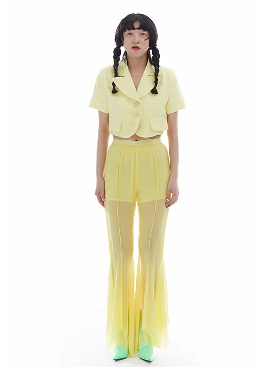 Elastic High Waist Mesh Irregular Thin Trousers