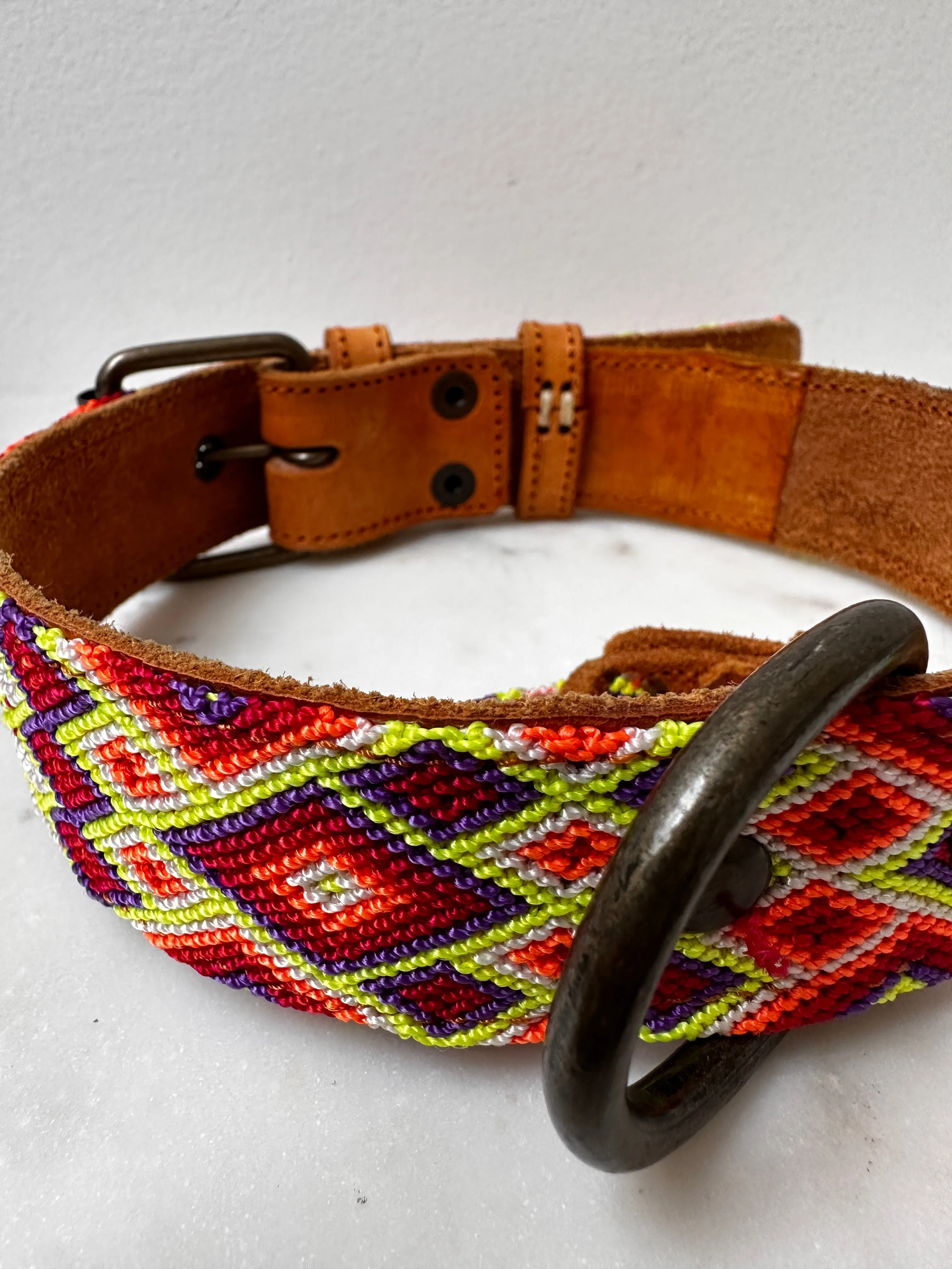 Huichol Embroidered Wide Dog Collar L1