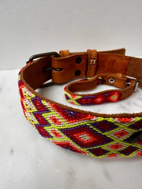 Huichol Embroidered Wide Dog Collar L1