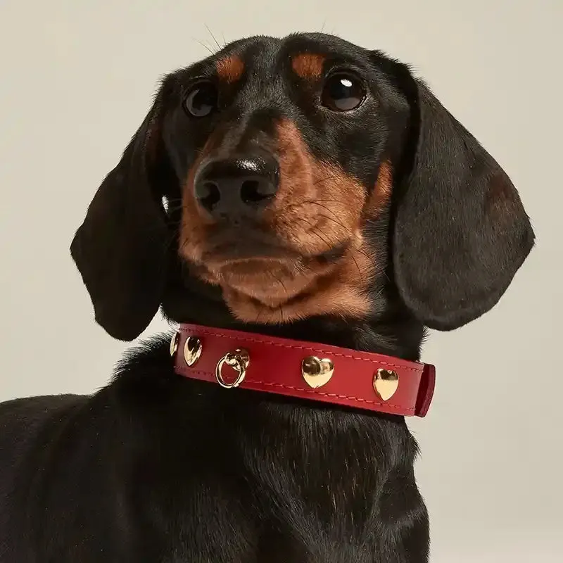 Nara Heart Studded Dog Collar