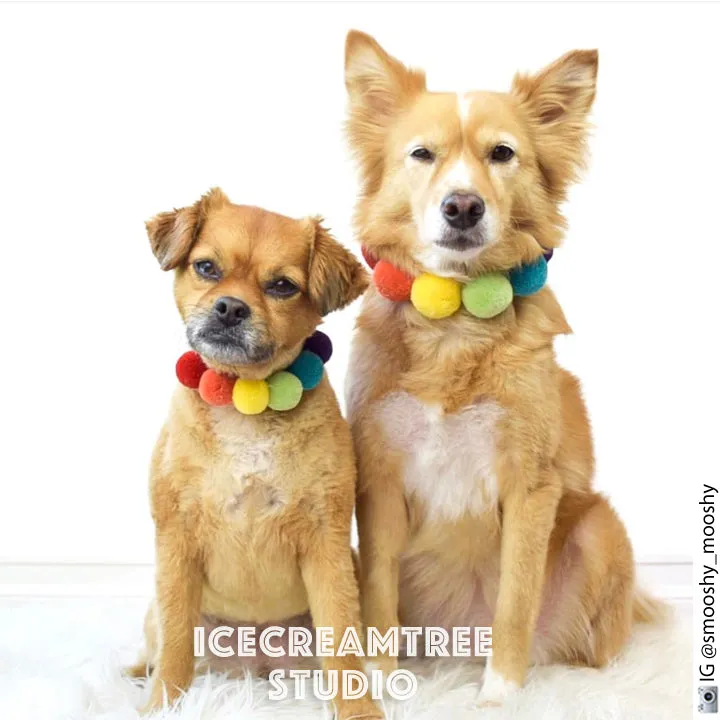 Retro Colors PomPom Necklace - Elastic Pet Collar