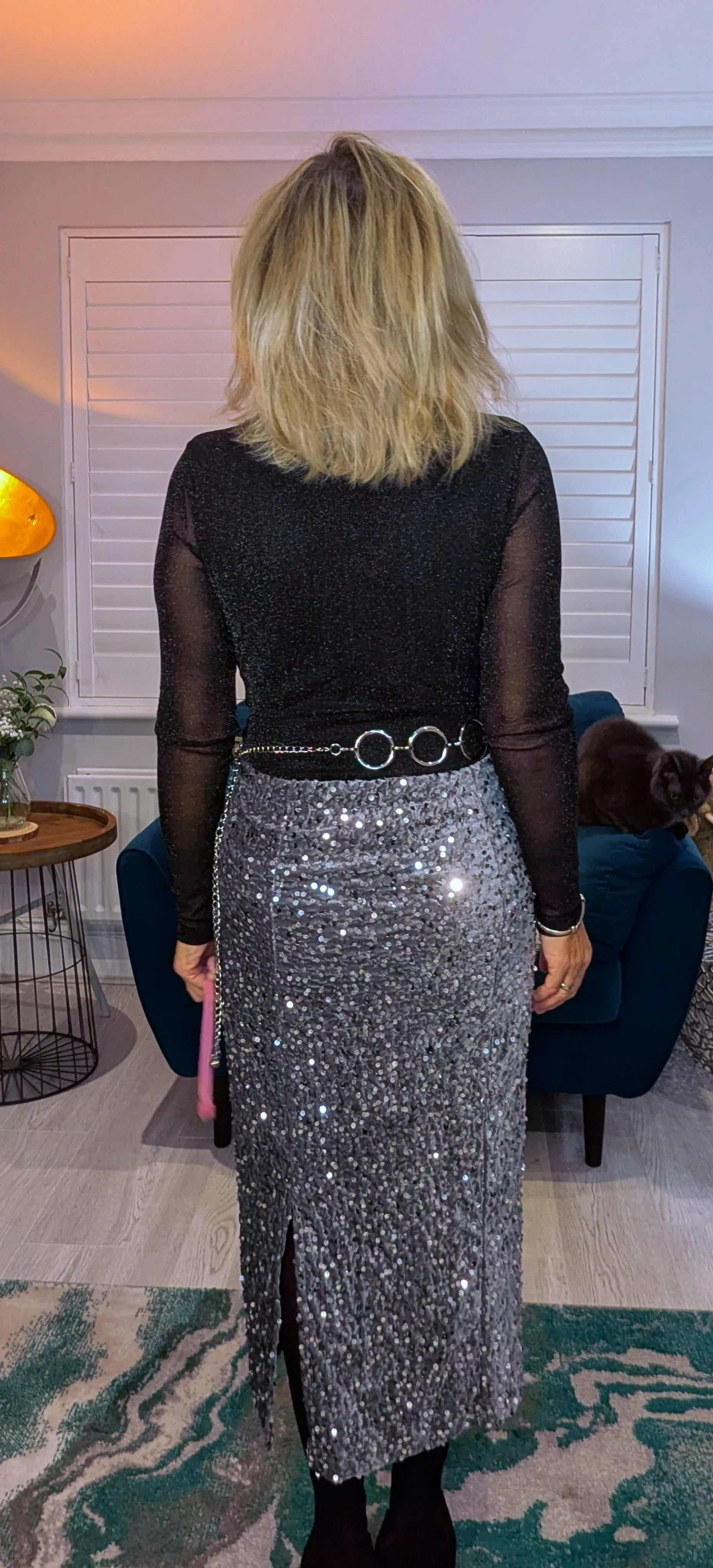 Stacy Silver Sequin Skirt