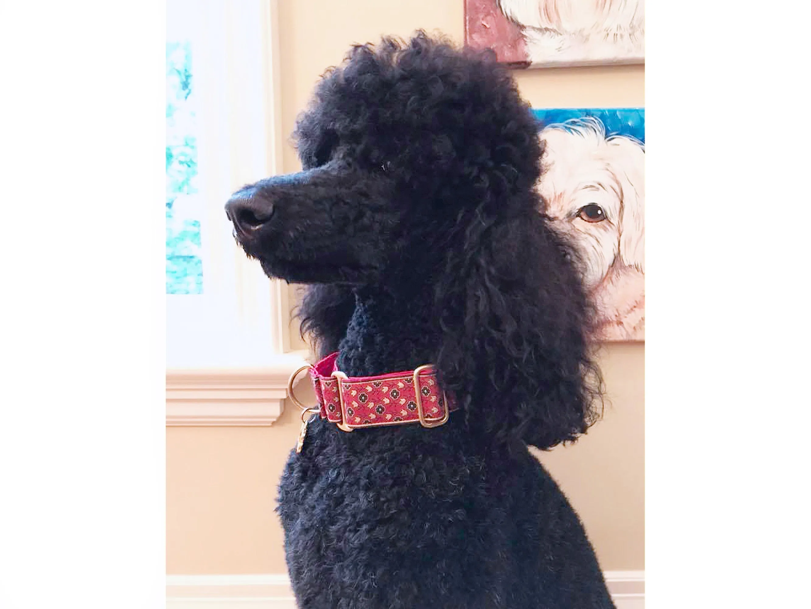 Stratford Jacquard in Red - Martingale Dog Collar or Buckle Dog Collar - 1.5" Width