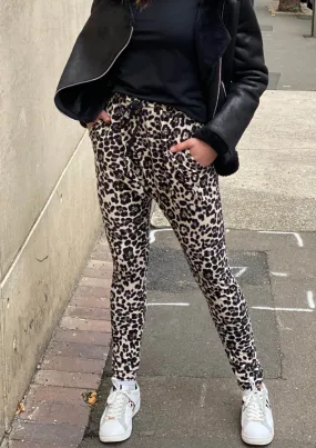 TG0533-75SS Leopard Print Lounge Pants (Pack)