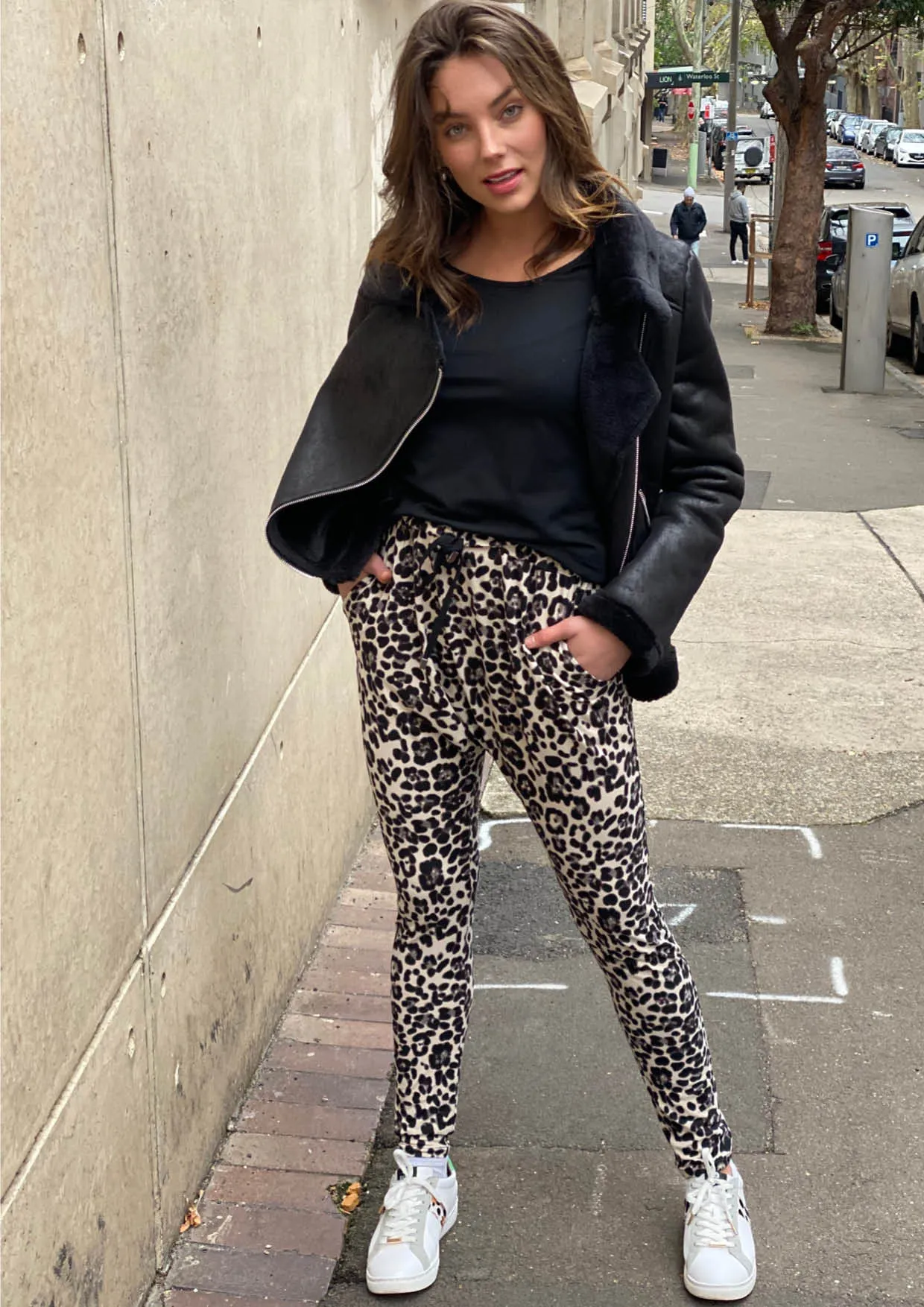 TG0533-75SS Leopard Print Lounge Pants (Pack)