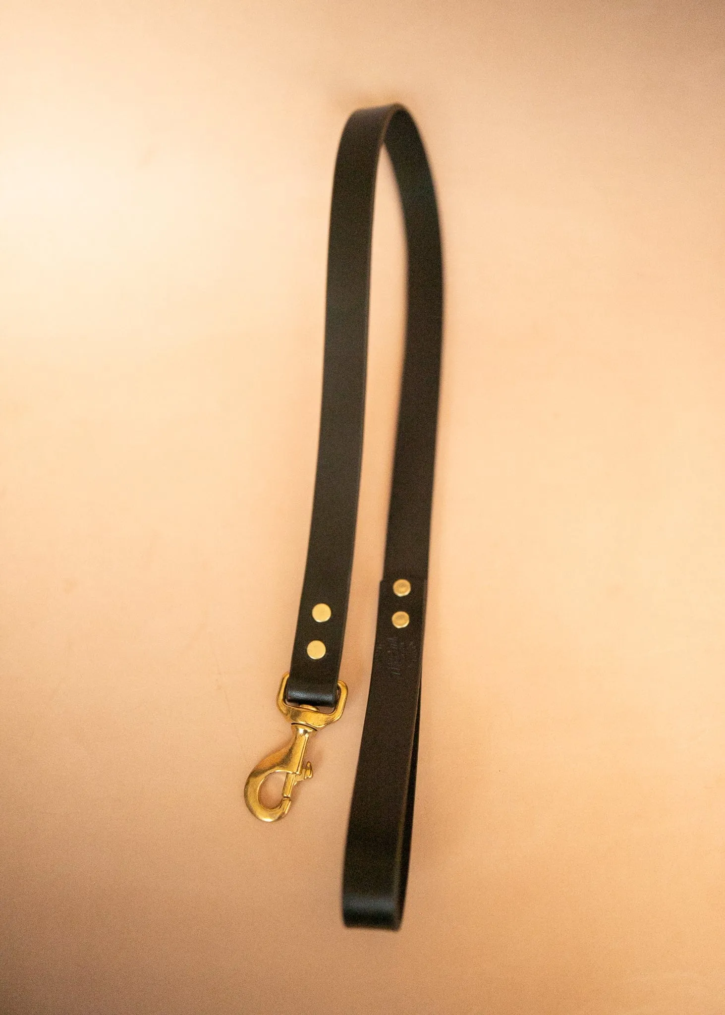 Wide Dog Leash 25mm - Black