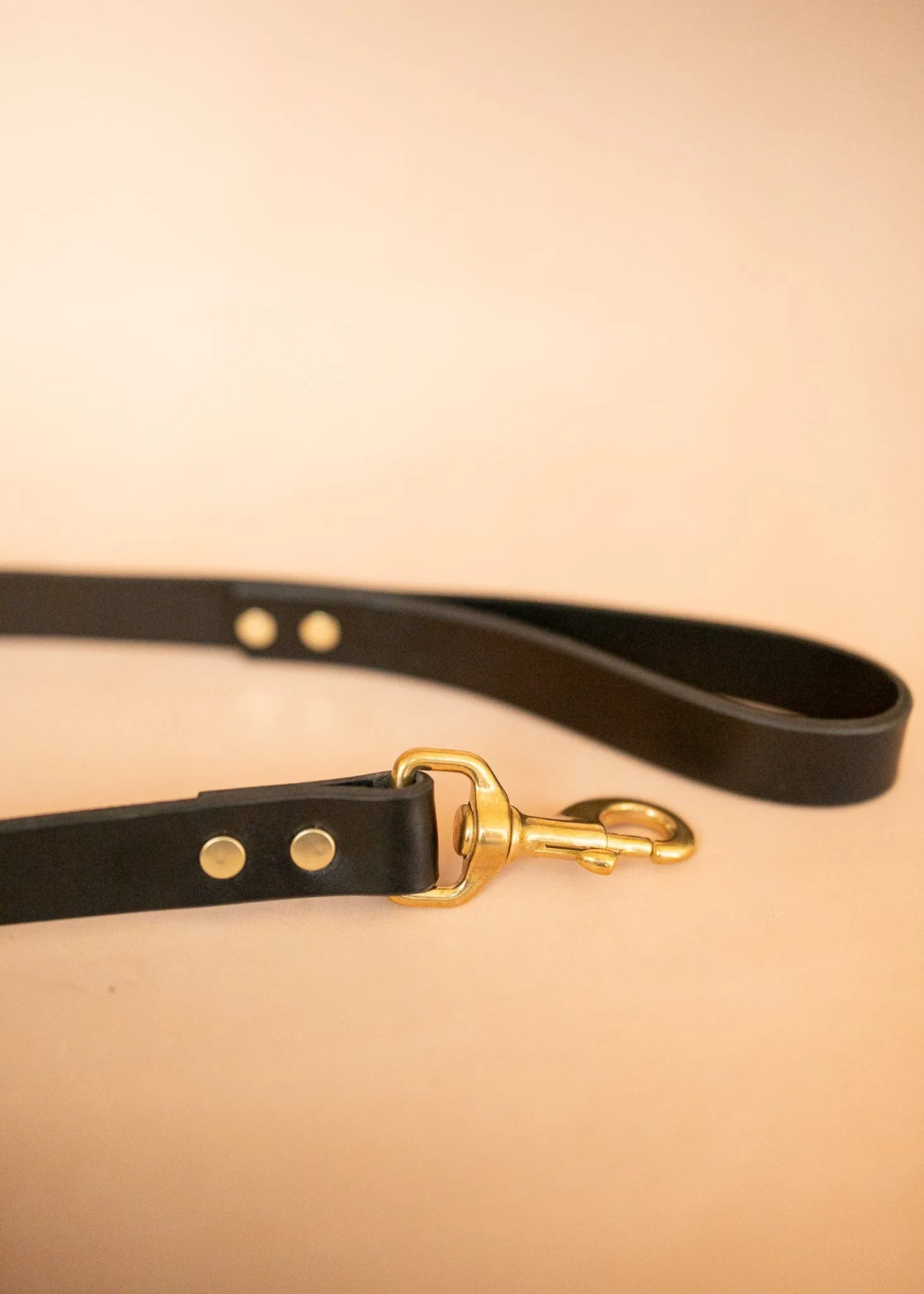 Wide Dog Leash 25mm - Black