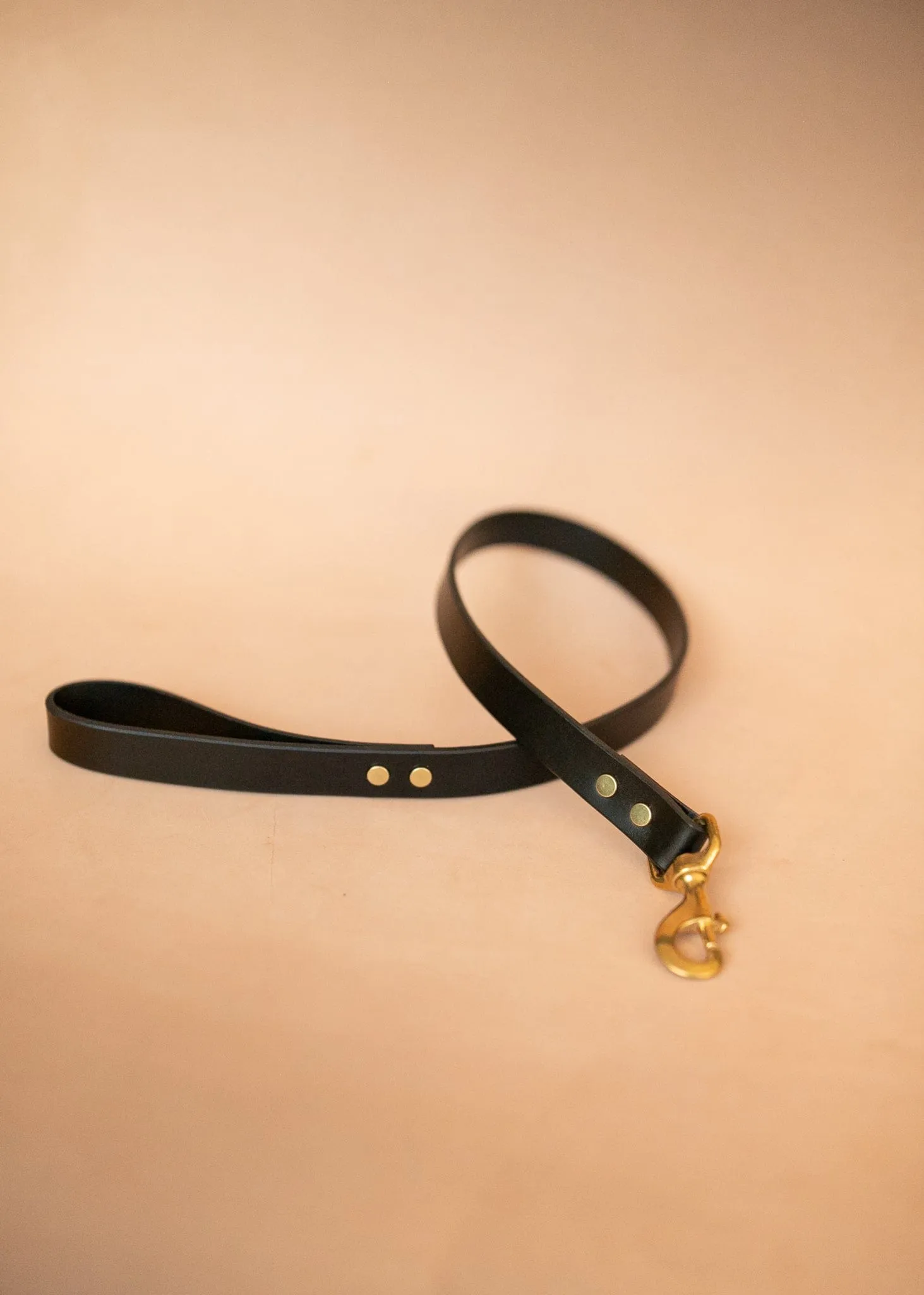 Wide Dog Leash 25mm - Black